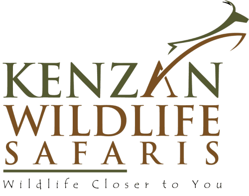 Logo Kenzan